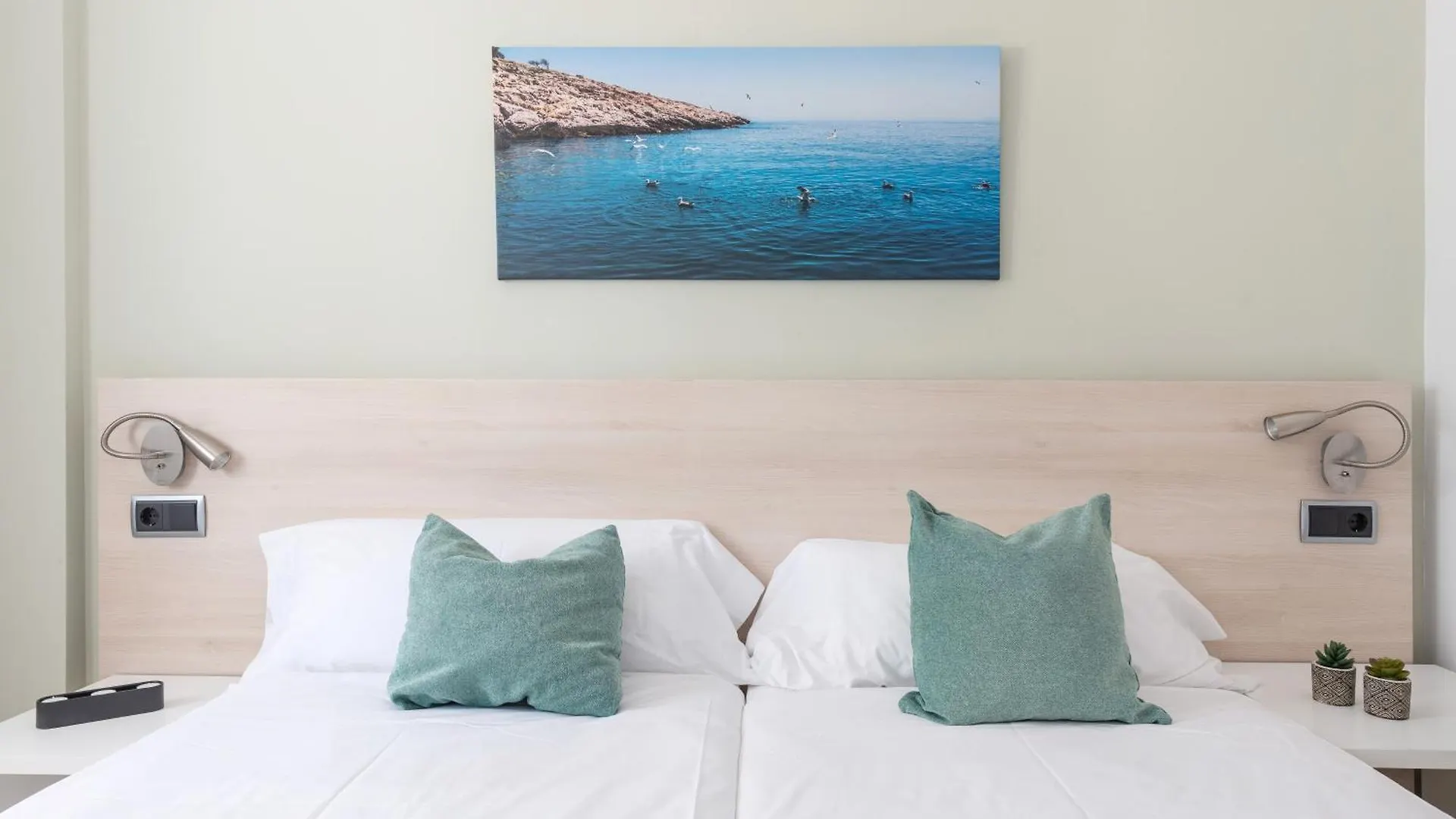 بورت ذالكوذيا Olive Beach Apartamentos إسبانيا